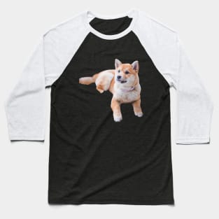 Brown Puppy Baseball T-Shirt